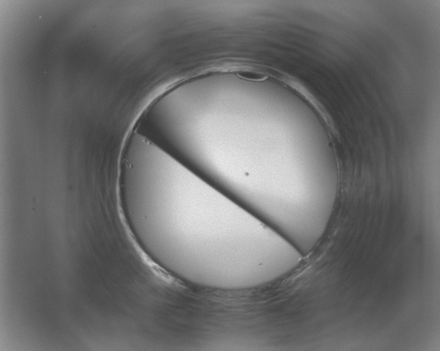 X0000067890861200604131327