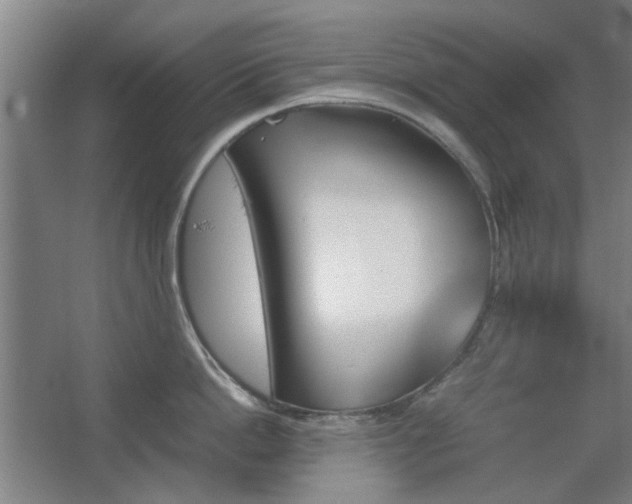 X0000067890862200604131327