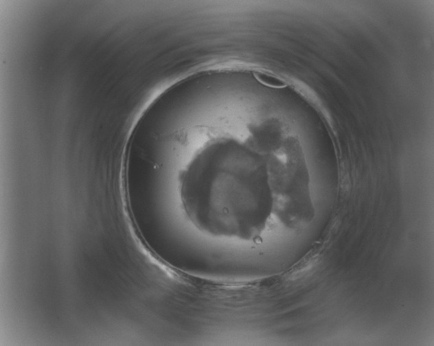 X0000067890863200604131327