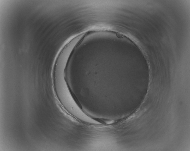 X0000067890864200604131327