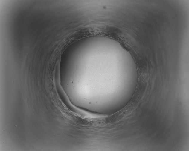 X0000067890865200604131326