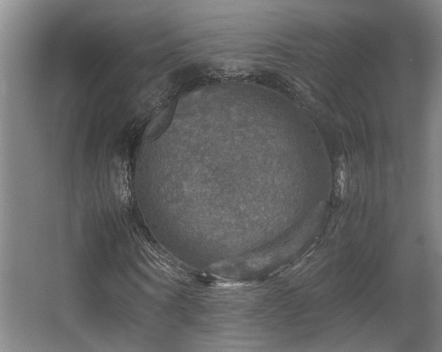 X0000067890866200604131326