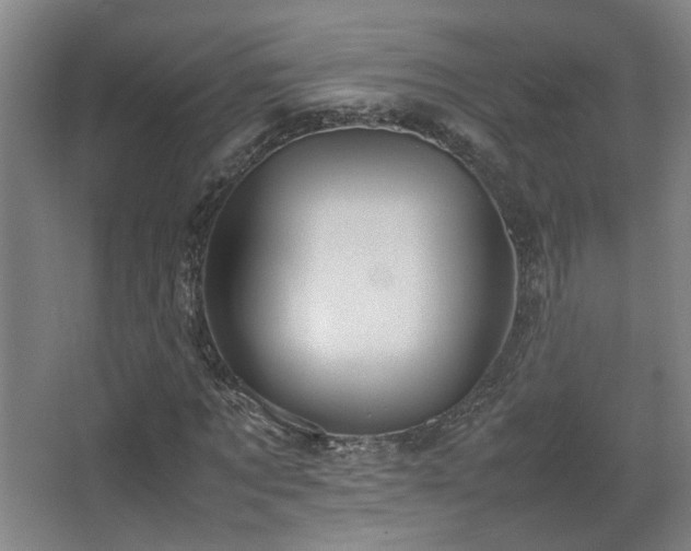 X0000067890869200604131326