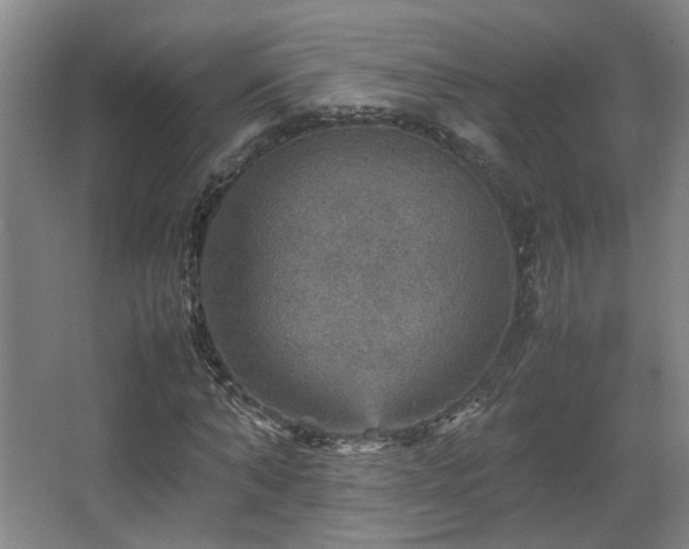 X0000067890870200604131326