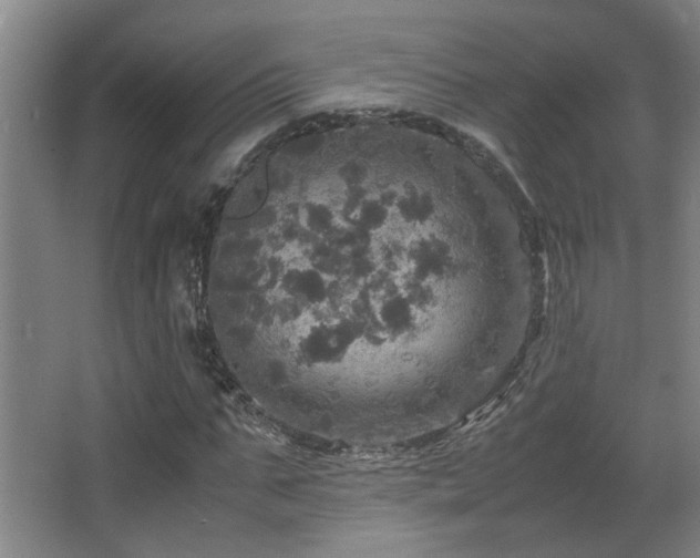 X0000067890871200604131326