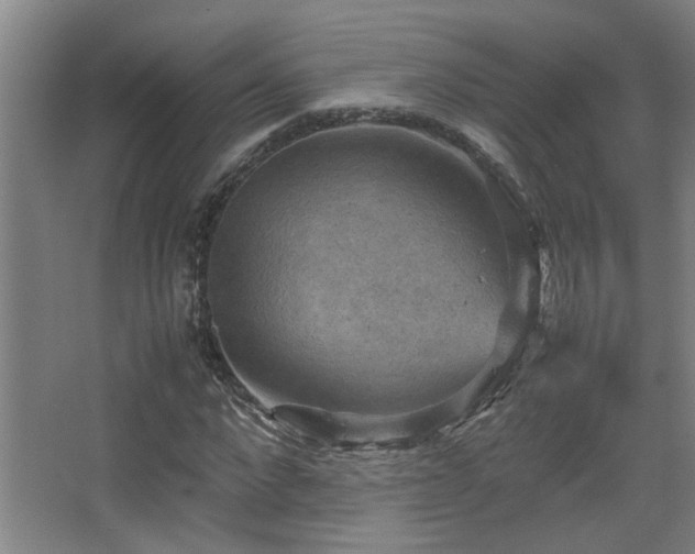 X0000067890872200604131326