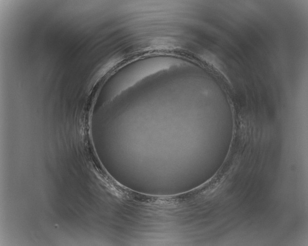 X0000067890874200604131326