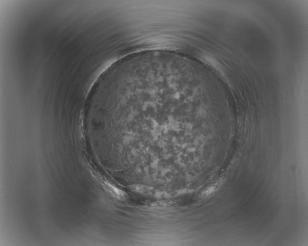 X0000067890875200604131326