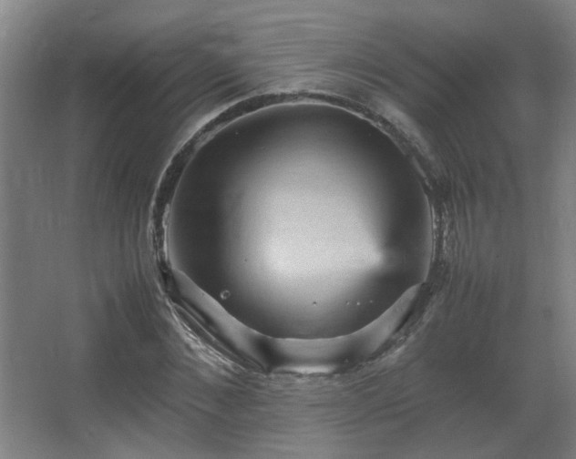 X0000067890876200604131326