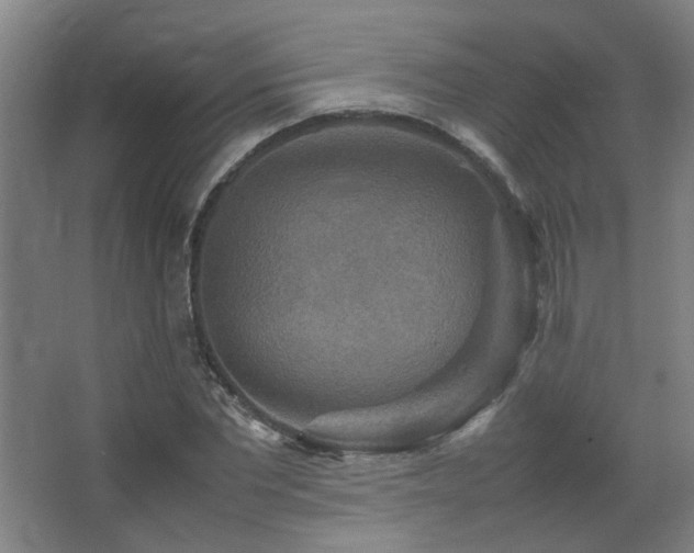 X0000067890877200604131326