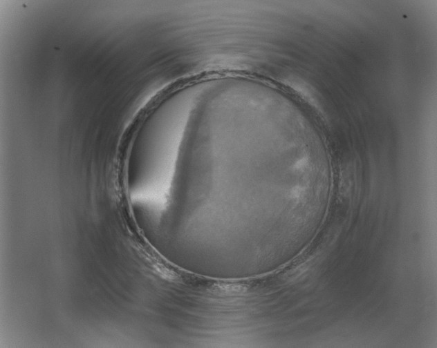 X0000067890878200604131326