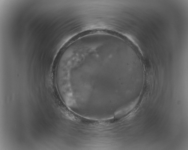 X0000067890879200604131326