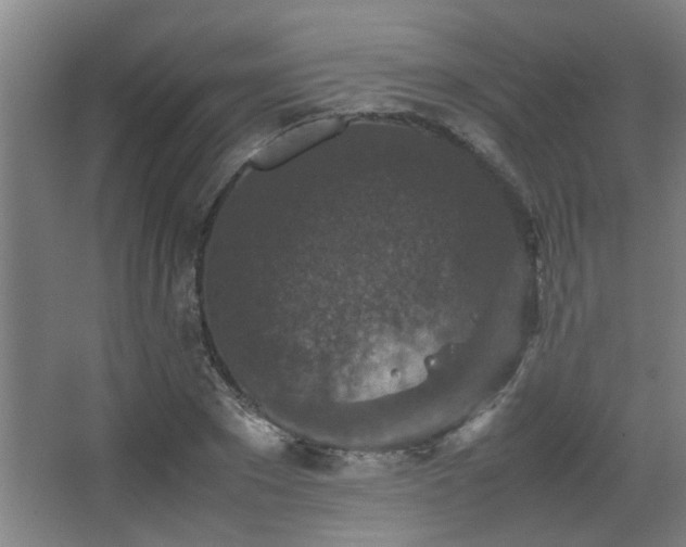 X0000067890881200604131326