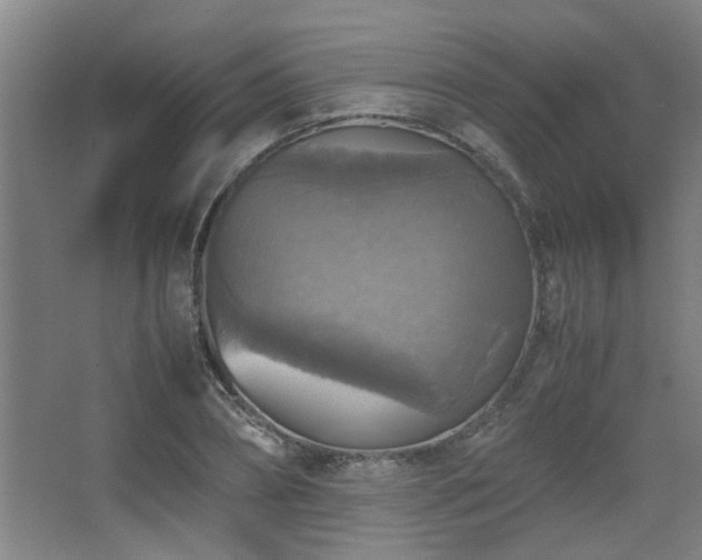 X0000067890882200604131325