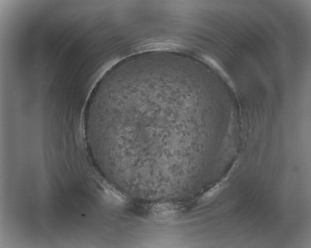 X0000067890883200604131325