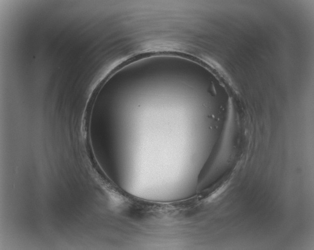 X0000067890885200604131325