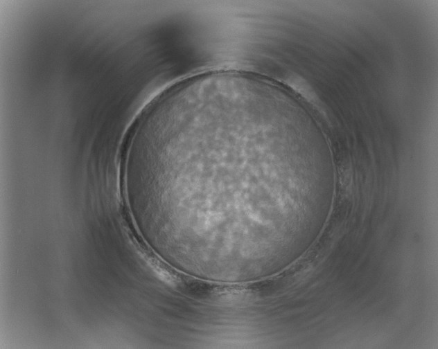 X0000067890886200604131325