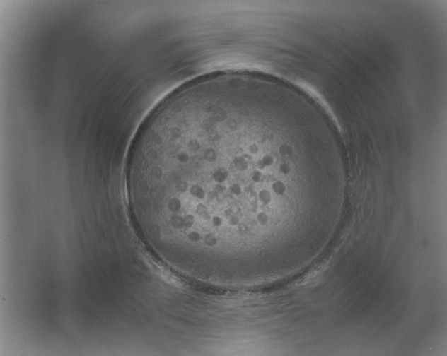 X0000067890887200604131325