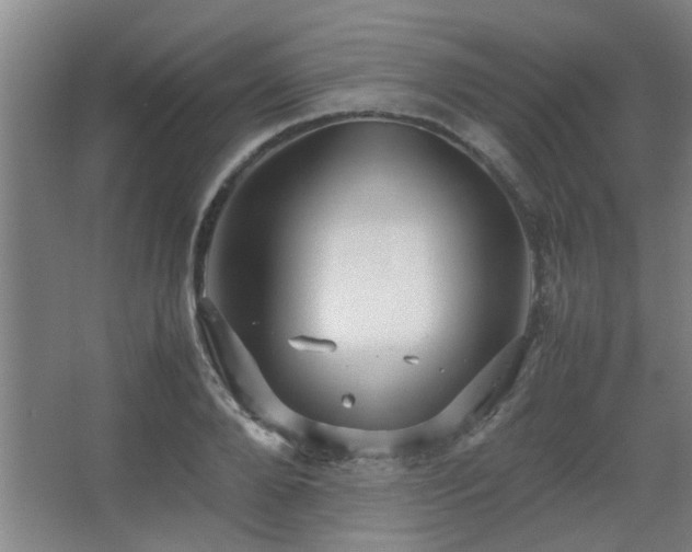 X0000067890888200604131325