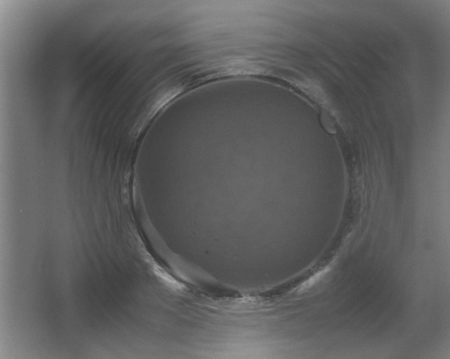 X0000067890889200604131325