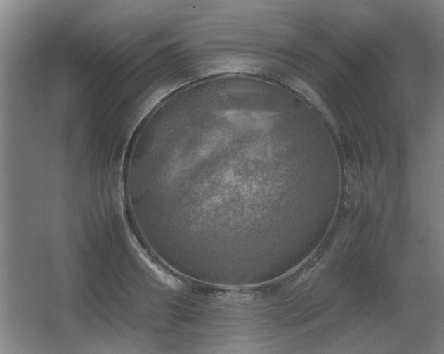 X0000067890890200604131325