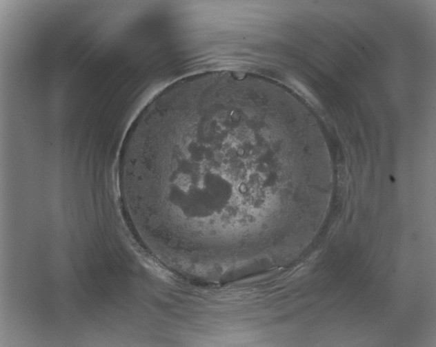 X0000067890891200604131325