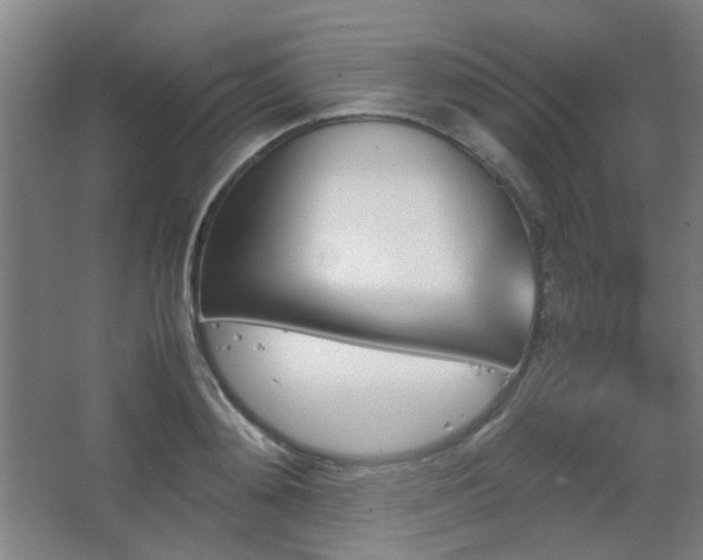 X0000067890892200604131325