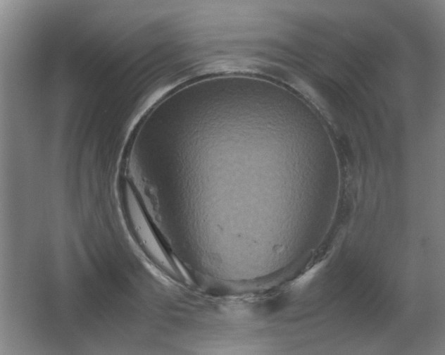 X0000067890893200604131325