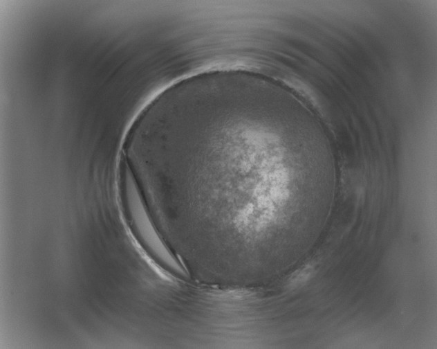 X0000067890894200604131325