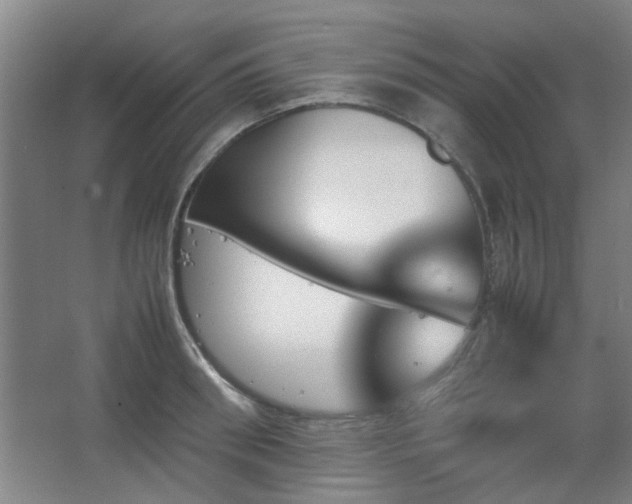 X0000067890898200604131325