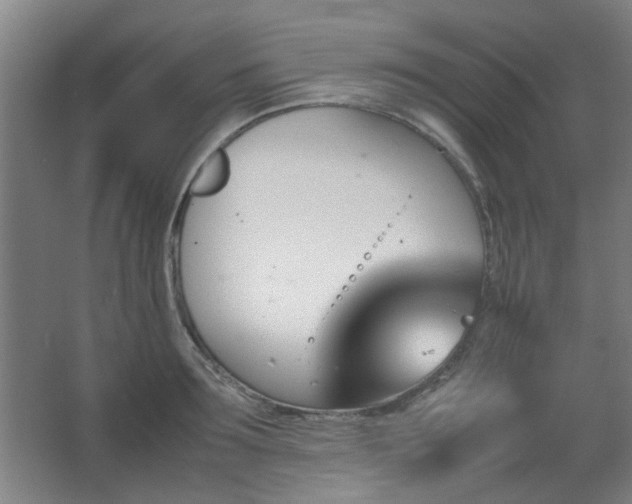 X0000067890899200604131325