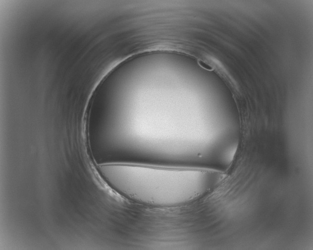 X0000067890900200604131325