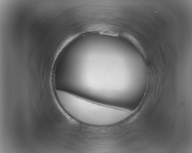 X0000067890901200604131325