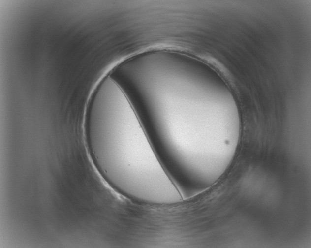 X0000067890902200604131325