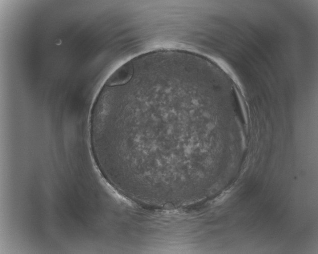 X0000067890903200604131325