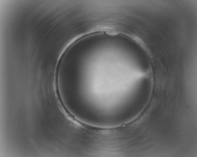 X0000067890904200604131325