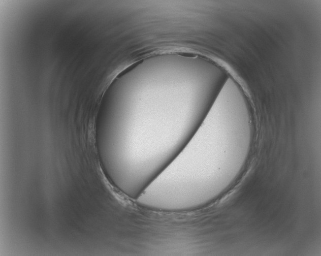 X0000067890905200604131325