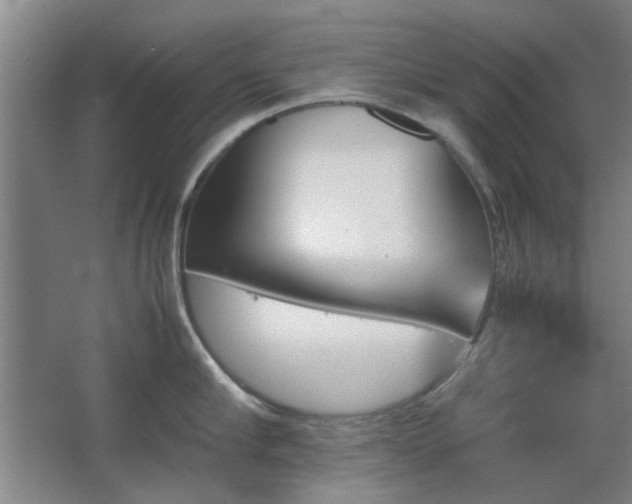 X0000067890910200604131325