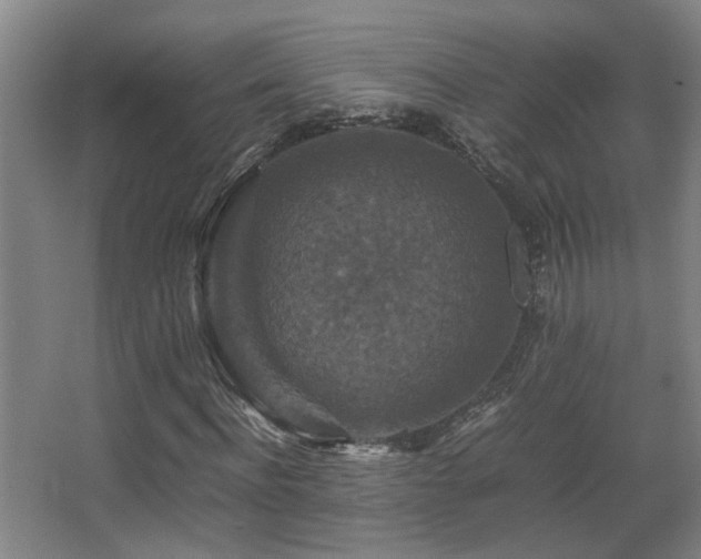 X0000067890916200604131324