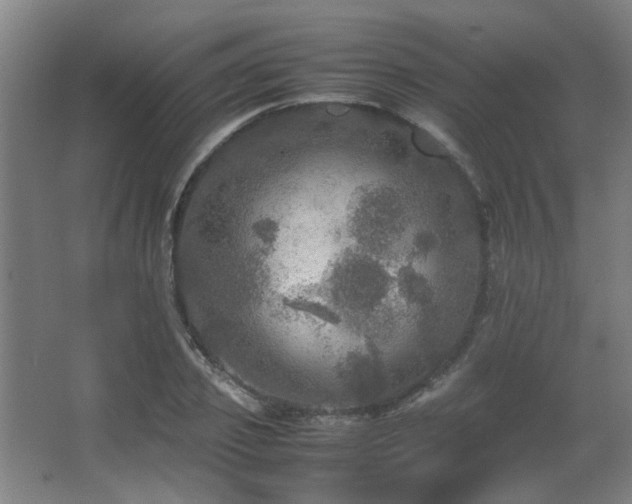 X0000067890933200604131325