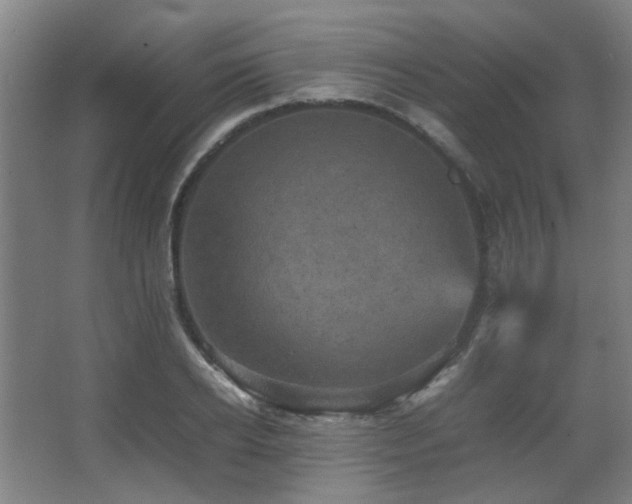 X0000067890934200604131325