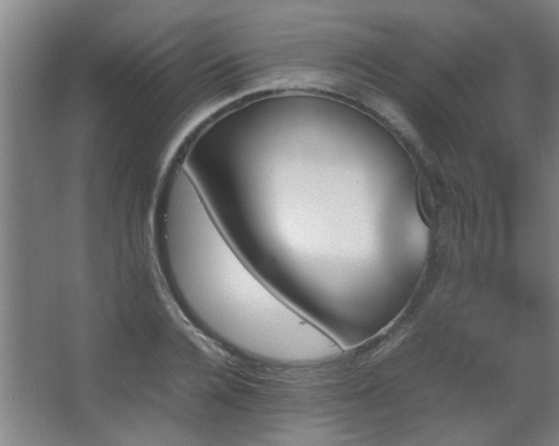 X0000067890936200604131325