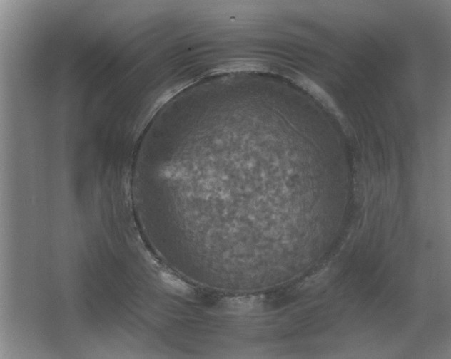 X0000067890937200604131325