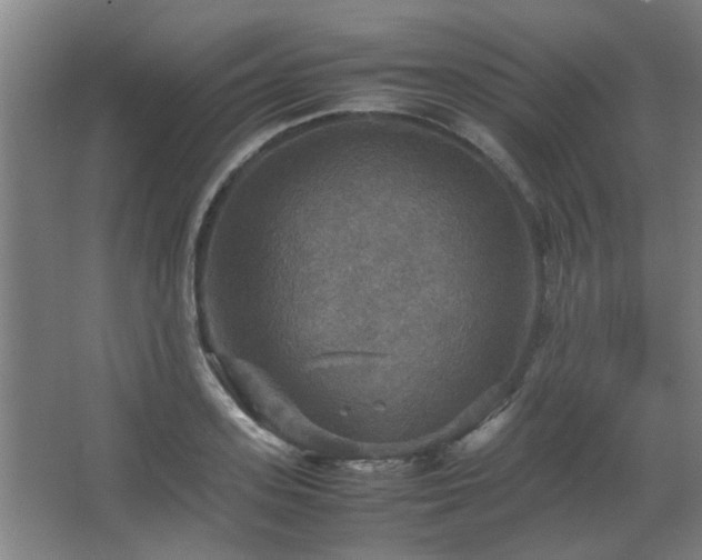 X0000067890939200604131325