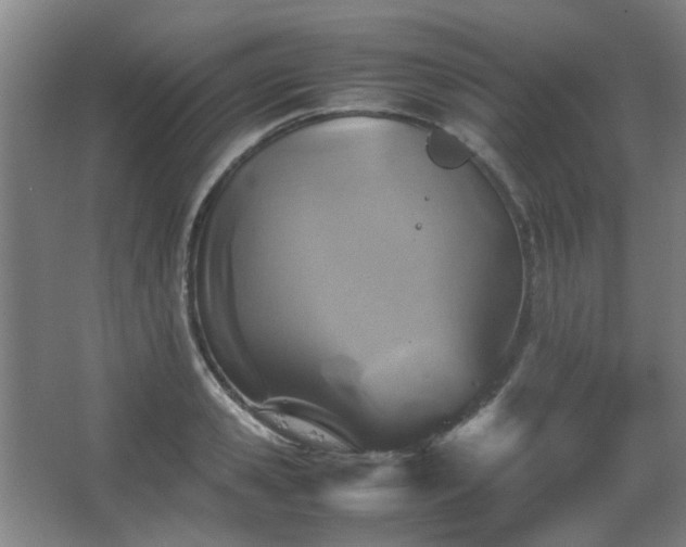 X0000067890941200604131325