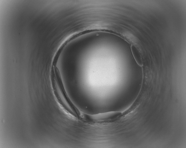 X0000067890942200604131325