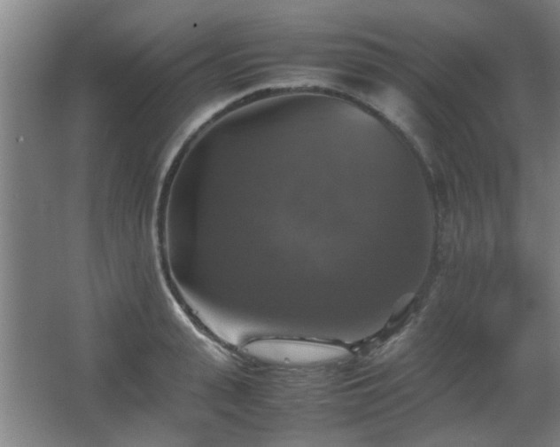 X0000067890943200604131325