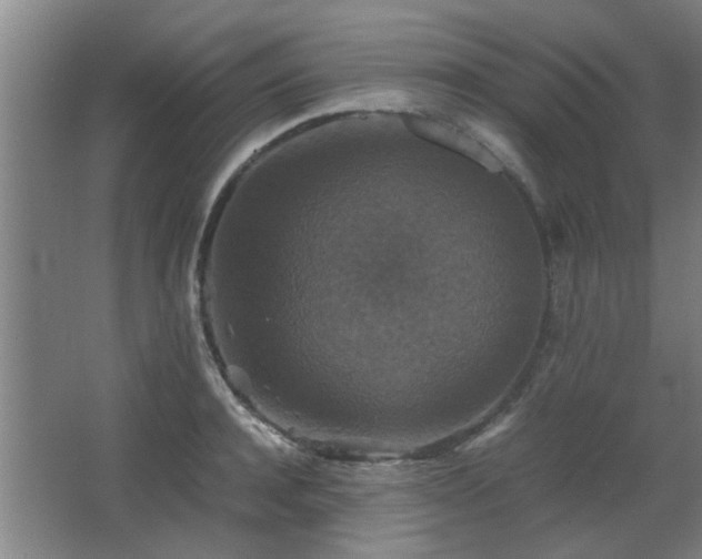 X0000067890944200604131325