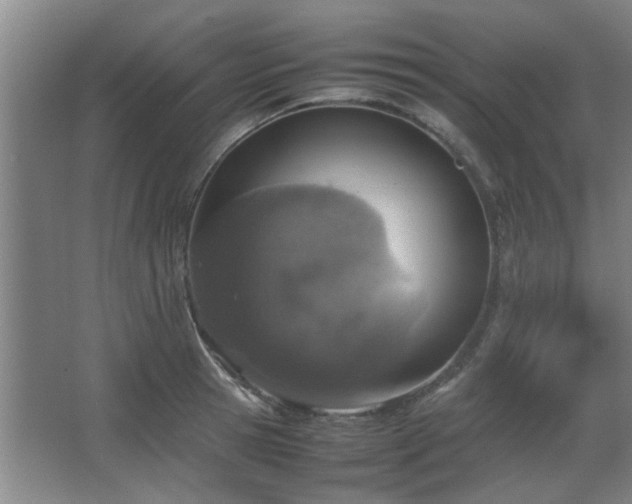 X0000067890945200604131325