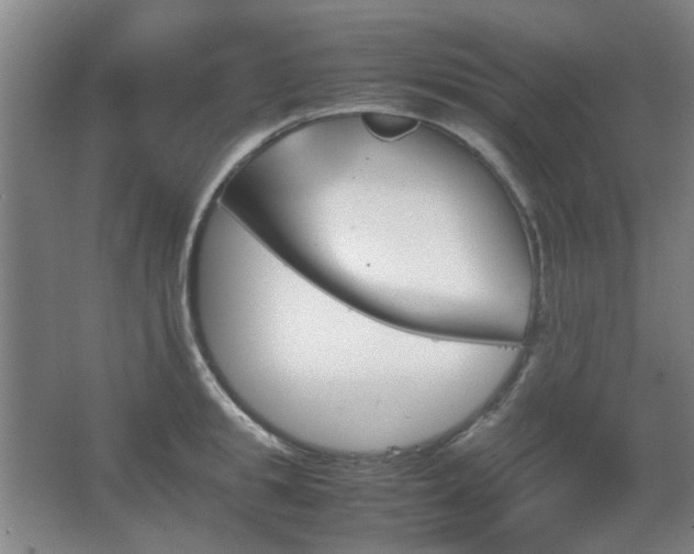 X0000067890949200604131325